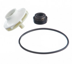 KIT ETANCHEITE POMPE DE CYCLAGE LAVE VAISSELLE BOSCH 419027    = 270066