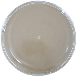 PLATEAU TOURNANT MICRO-ONDES BRANDT Diam. 30cm