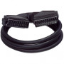 CORDON PERITEL 21 Broches  1,50M